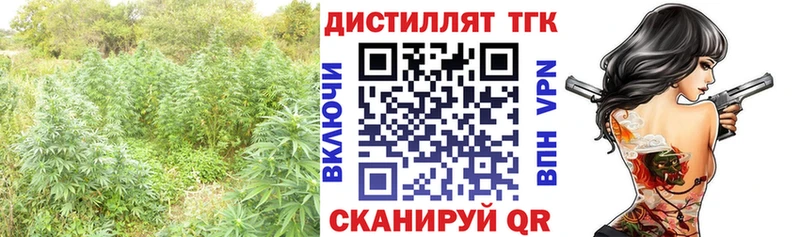 ТГК концентрат  наркотики  shop какой сайт  Благодарный 