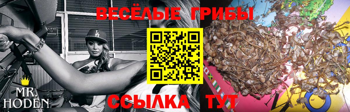 Галлюциногенные грибы MAGIC MUSHROOMS Благодарный